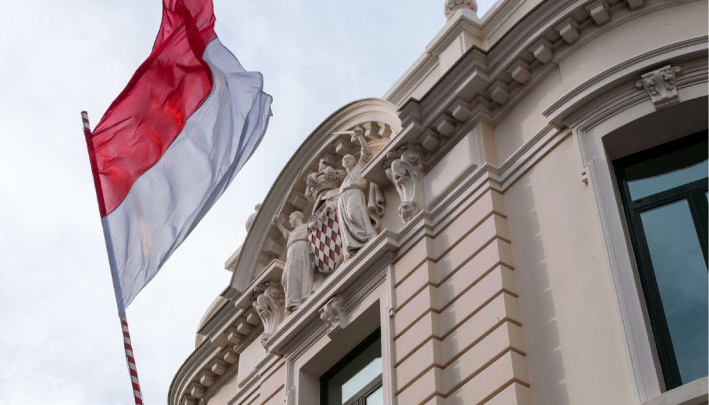 Why is Luxotica the best private driver company in Monaco ?